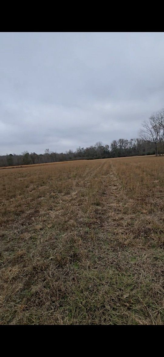 1 Acres Land Available