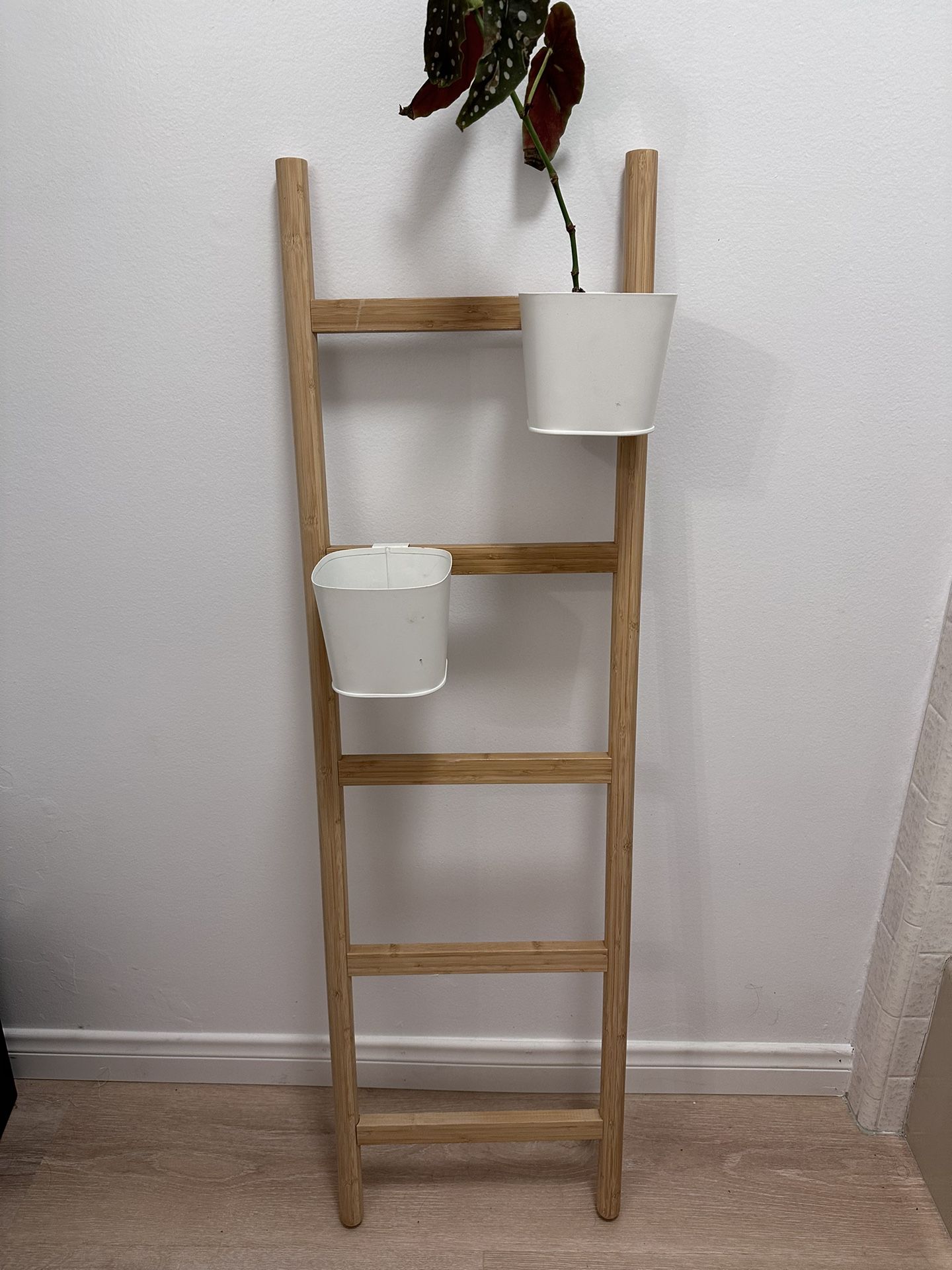 Plant Ladder 