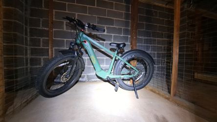 Retrospec rev 2 koa fat tire electric bike+accessories