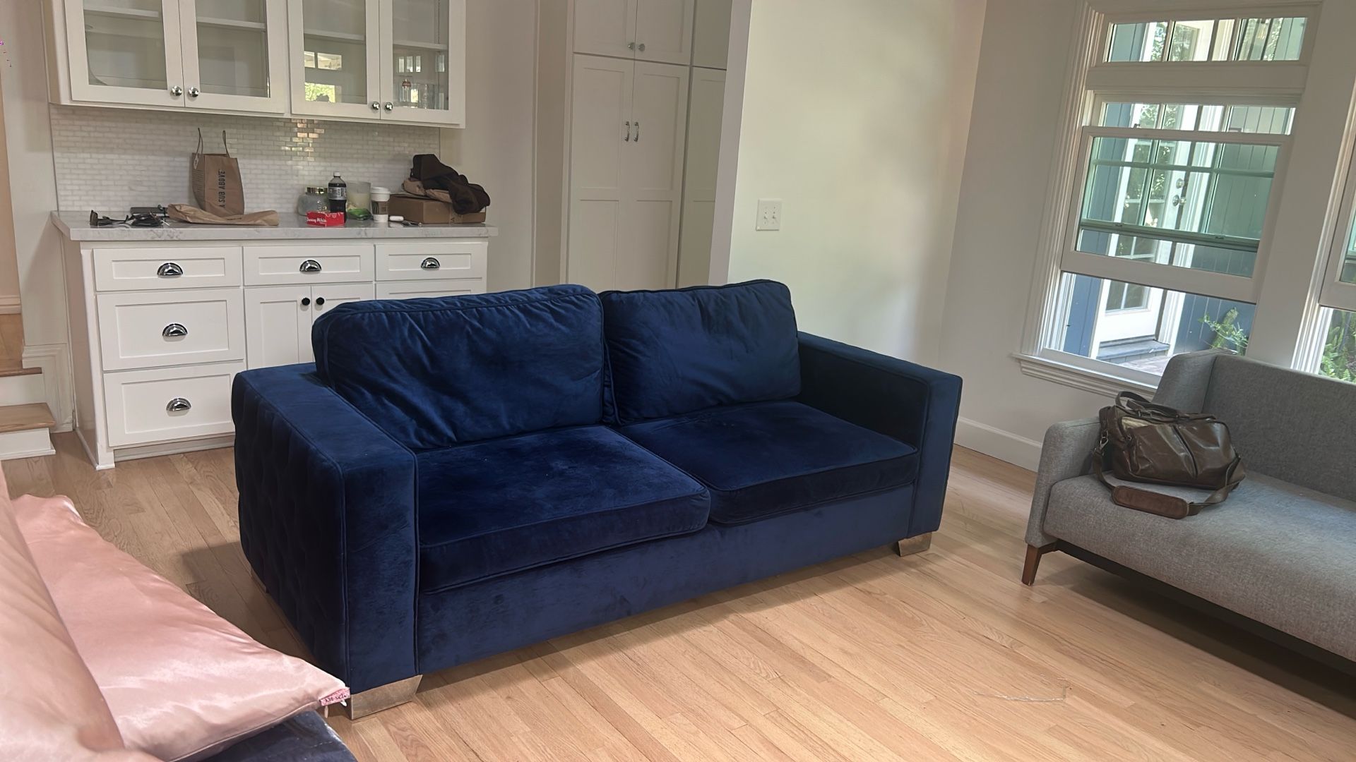Blue Velvet Couch