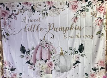 Fall Pink Baby Shower Backdrop 2 Games