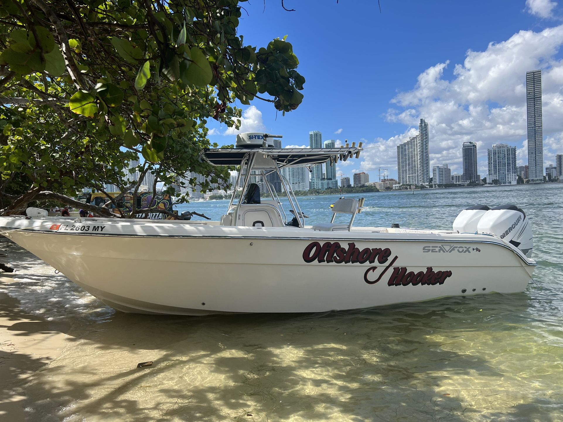 2004 Sea Fox 287 center console