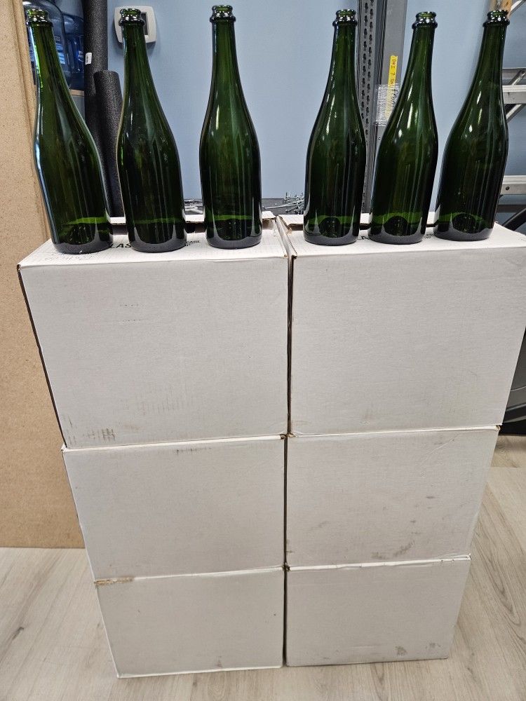 Glass Bottles for Home Brewing – Assorted Sizes & Colors