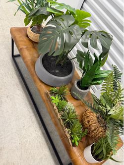 Artificial Decorative Plants – Modern Home Decor