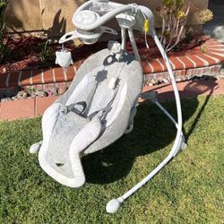 Ingenuity  Baby Swing