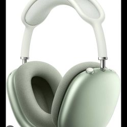 Apple Headphones 