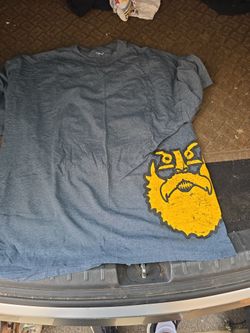 Pittsburgh Steelers Brett Keisel 