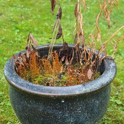 Nice Dark Ceramic Speckled Flower Pot 