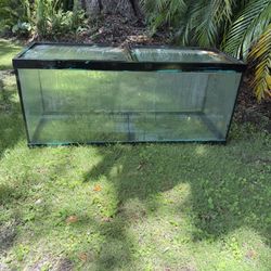75 gallon fish tank 