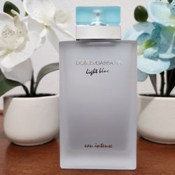 Dolce & Gabbana Light Blue Perfume For Women 3.3 Fl Oz