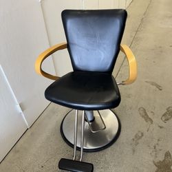 Belvedere  Hydraulic hair chair And Mat