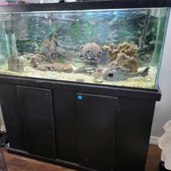 75 Gallon Fish Tank W/Stand