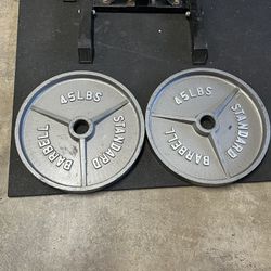 Olympic Weights / Pai 45 Lb  