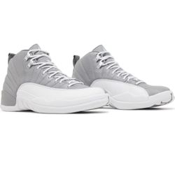 brand new Men’s Jordan 12s size 10