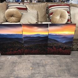 3 Piece Canvas Art (New)