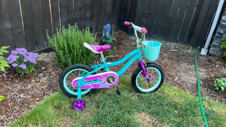 Schwinn Elm 14” tire bike