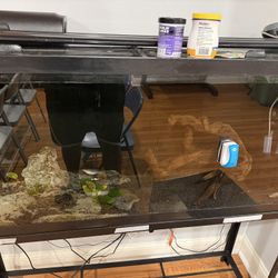 55 Gallon Aquarium 