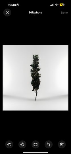 Christmas Decor Bundle