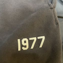 1977 Essential Shorts