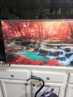 Canvas Wall Art
