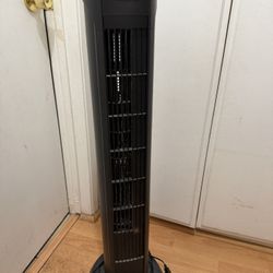 Fan $20