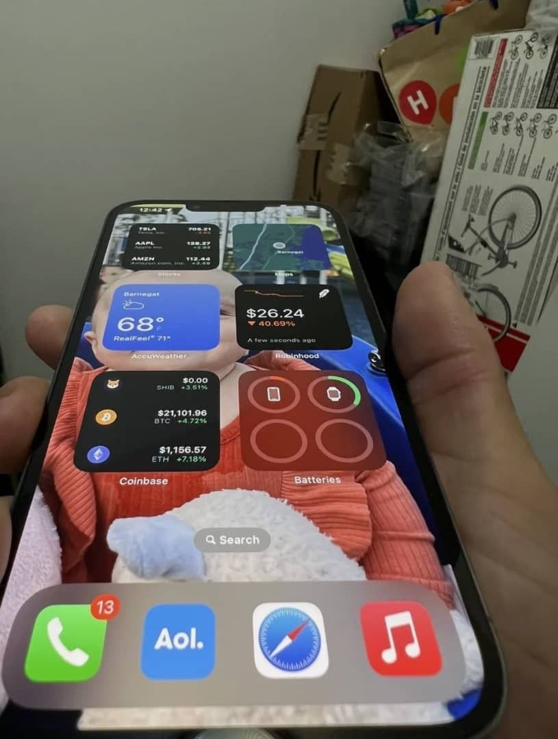 Iphone 13 Pro Max 512gb