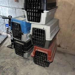 Transport Kennels 