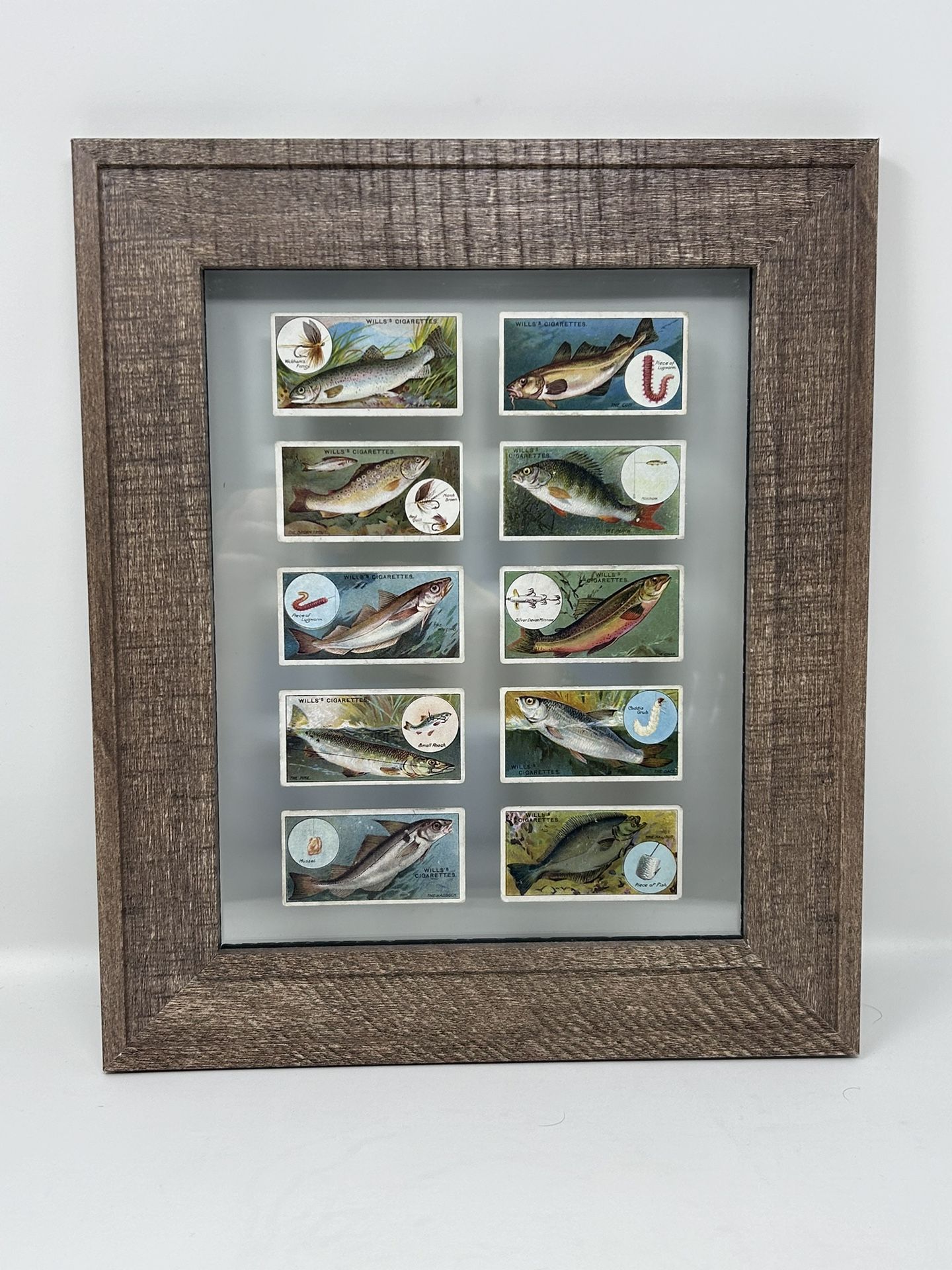 Framed 6 Fish and Bait Cigarette Cards by WD and HO Wills Issued in 1910.  fish and Bait Lure