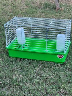 Birds cage