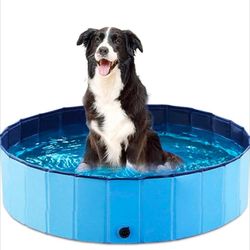 Dog Pool 