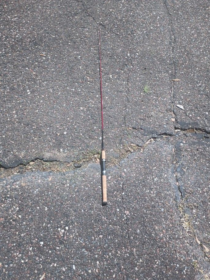 Fishing Rod