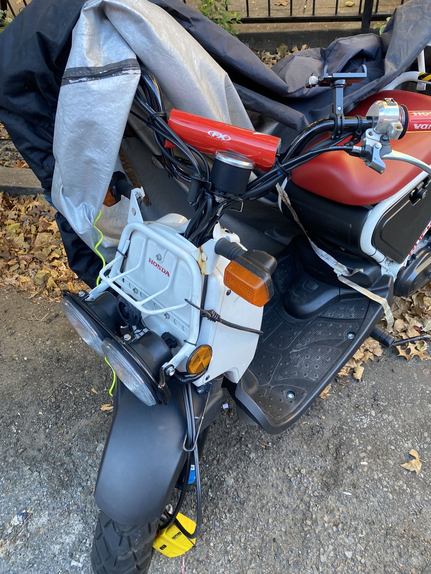 2017 Honda Ruckus