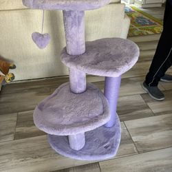 Cat Tower & Scratches 