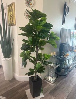 Pretty artificial plant Fig Tree 6 ft tall with planter ! Brand New