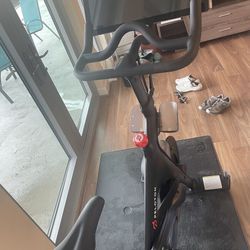 Peloton 2019