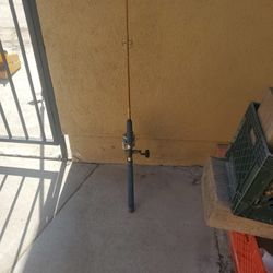 Salt Water Rod