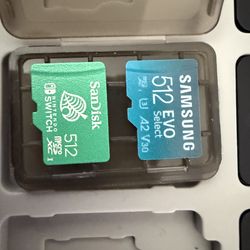 Nintendo switch sd cards