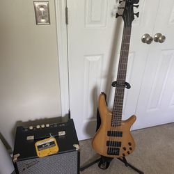 Ibanez 5 String Bass and Fender Amp
