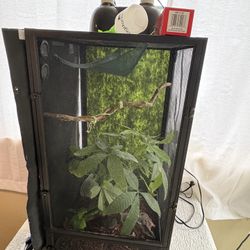 Reptile Cage