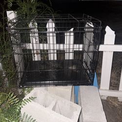 Dog Cage