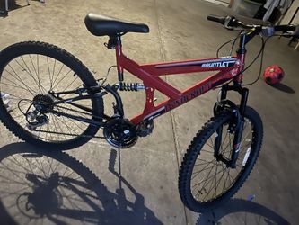 24” Bicycle 