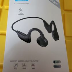Sport Wireless Model BL13 Wireless Headset