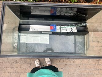 Free fish tank