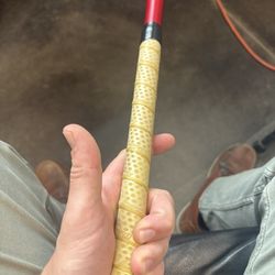 Softball Bat (Miken)