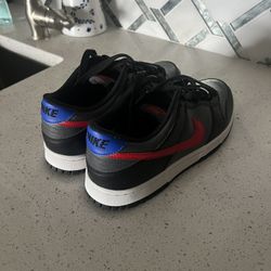 Nike Dunks 