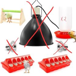 5 Pc Chicken Chick Starter Set