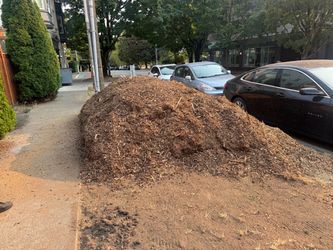 Free Hemlock Mulch