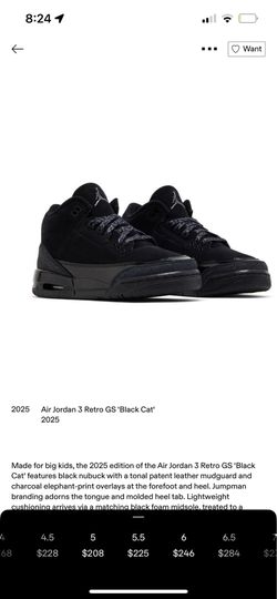 Air Jordan 3 black cat