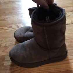 Short Chocolate Uggs