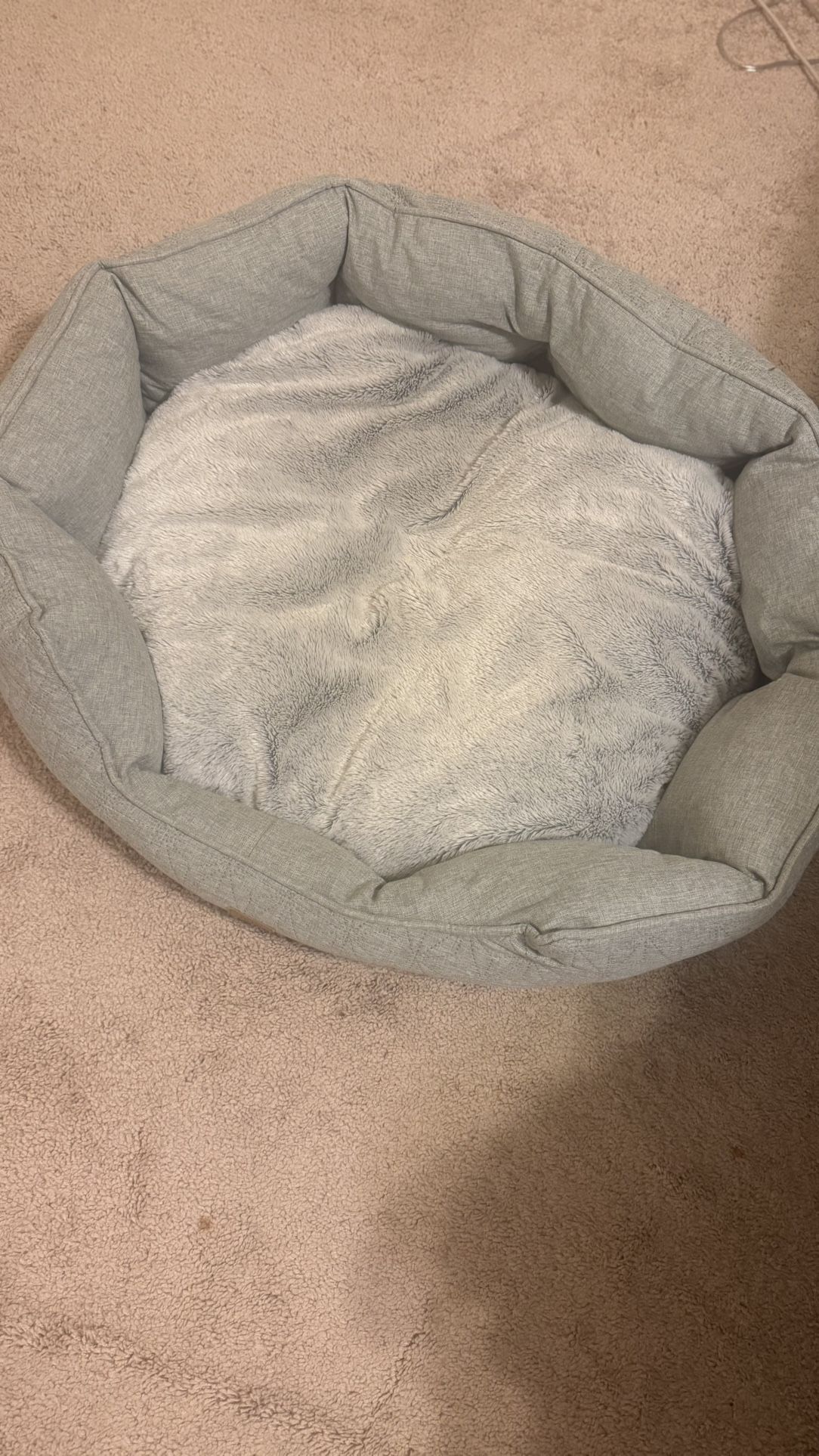 Dog Bed